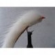 Lures 2 white cut throat minkie $2.34