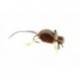 Bass Flies MallardsBetterMouse $8.50