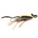 Bass Flies MallardsNoMissMouse $8.50