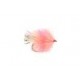 Lures BL Blob Coral Spot $2.34