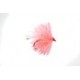 Lures Micro Coral Blob $2.34