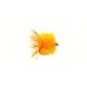 Lures FAB Sunburst Fire Tail Blob $2.34