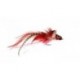 Bass Flies Pike Fly Red White $8.50