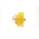 Lures Micro Sunburst Blob $2.34