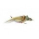 Bass Flies Pike Fly Shad $8.50