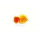 Lures Nugget Orange Blob $2.34