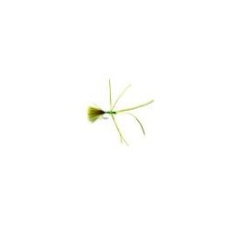 Lures Olive Critter $2.34
