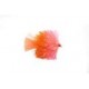 Lures KJ Orange & Coral Blob $2.34