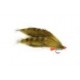 Lures Freds Flapper Olive $2.34