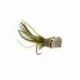 Bass Flies popper helm s $8.50