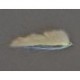 Lures BL Snakelet Natural White $2.34