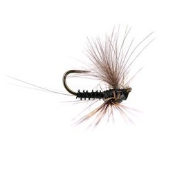 Barbless Flies Reversed Black Quill BL $2.34
