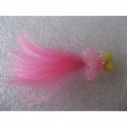 Boobies coral longtailed booby $2.34