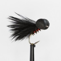 Boobies cormorant holo red booby $2.34