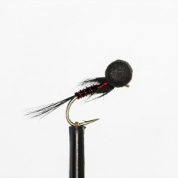 Boobies cruncher black cut throat booby $2.34