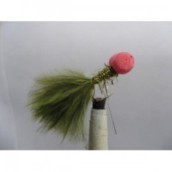 Boobies red brite damsel booby $2.34