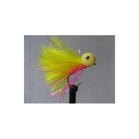 Boobies sweet susan booby $2.34