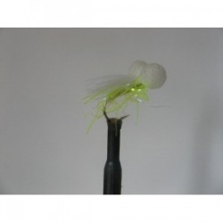 Boobies uv cat booby $2.34