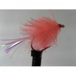 Blobs coral flashtail blob $2.34