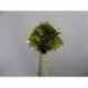 Blobs olive flashtail blob $2.34