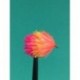 Blobs safety orange blushing sunburst shocking pink jelly blob $2.34
