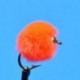 Beaded Nymphs Bead Head Egg Orange $2.42