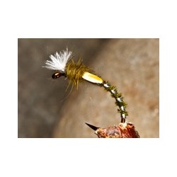 Buzzer Buzzer Quill Natural $2.34