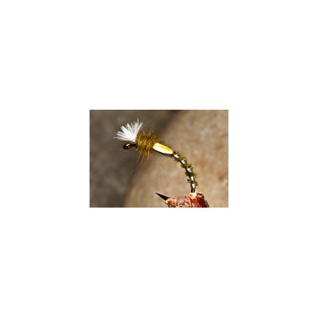 Buzzer Buzzer Quill Natural $2.34
