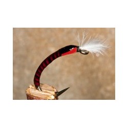 Buzzer Buzzer Quill Orange $2.34