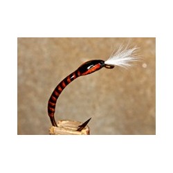 Buzzer Buzzer RhuRock Holo $2.34