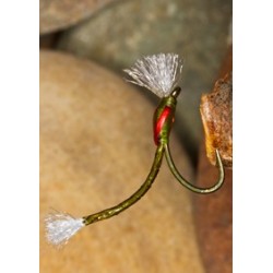 Buzzer EBBuzzerOlive $2.34