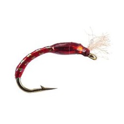 Buzzer Ginos Red Gold Holo Buzzer $2.34