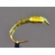 Buzzer Green Stripped Quill Buzzer $2.34
