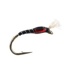 Buzzer Highlander Buzzer Black Red $2.34