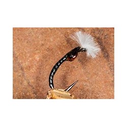 Buzzer Mirror Image Grey Boy $2.34