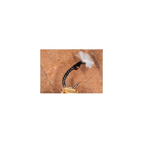 Buzzer Mirror Image Grey Boy $2.34