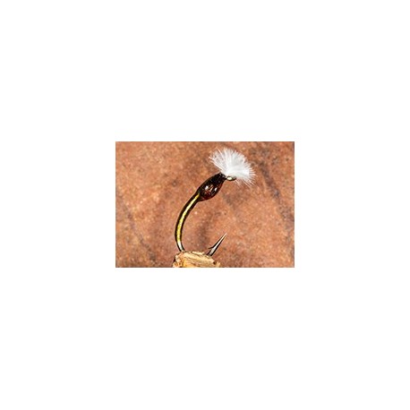 Buzzer Mirror Image Olive $2.34