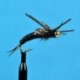 Beaded Nymphs Bead Head K's Stone Fly Black Rubber Leg $2.42