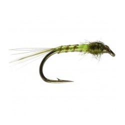 Buzzer Olive quill orange FB $2.34