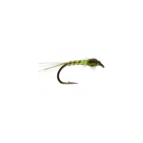 Buzzer Olive quill orange FB $2.34