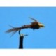 Nymphs Tungsten Bead Head Pheasant Tail $2.34