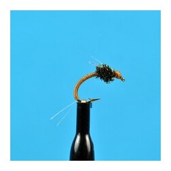 Nymphs WD   Tan $2.34