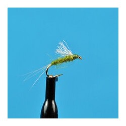 Nymphs RS  Olive $2.34