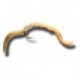 Nymphs Squiggly San Juan Worm Tan $2.34