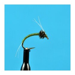 Nymphs WD   Olive $2.34