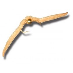 Nymphs BH San Juan Worm Tan $2.34