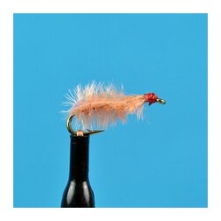 Nymphs Sow Bug  Tan $2.34
