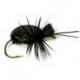 Nymphs black beetle button $2.34