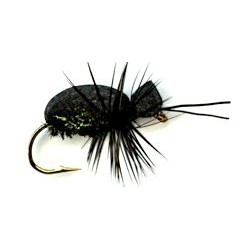 Nymphs black beetle button $2.34