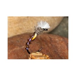 Buzzer PT Buzzer Claret $2.34